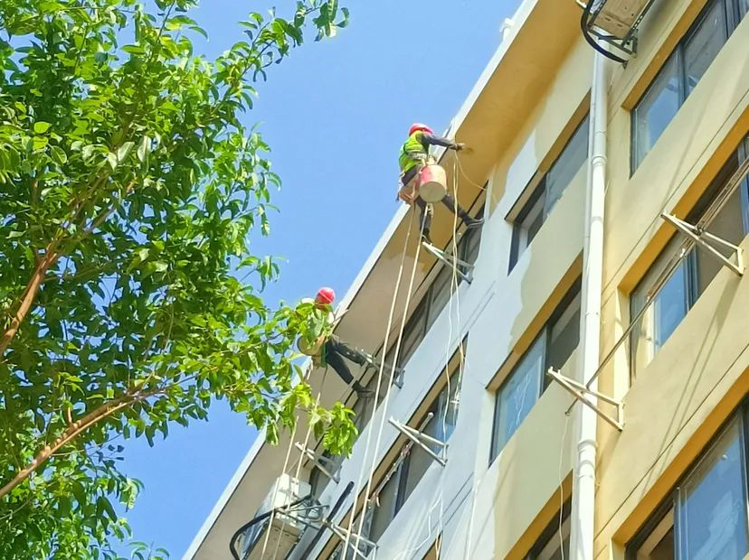 1663980286197874.jpg 2.jpg