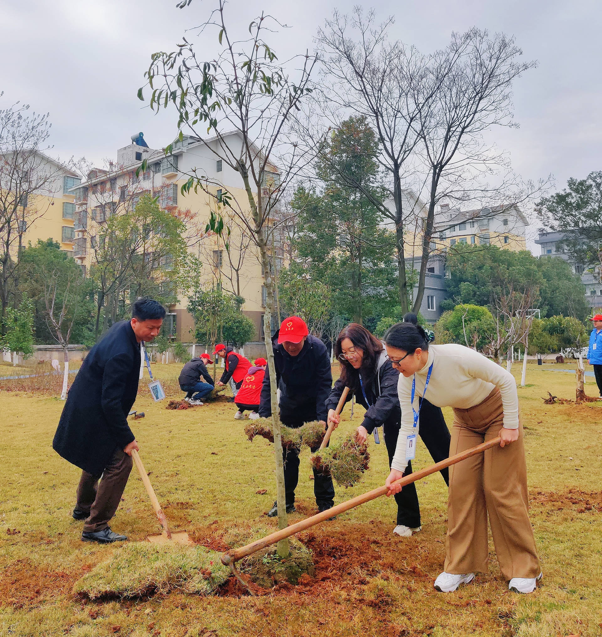 1710383486867501.png 圖片4.png