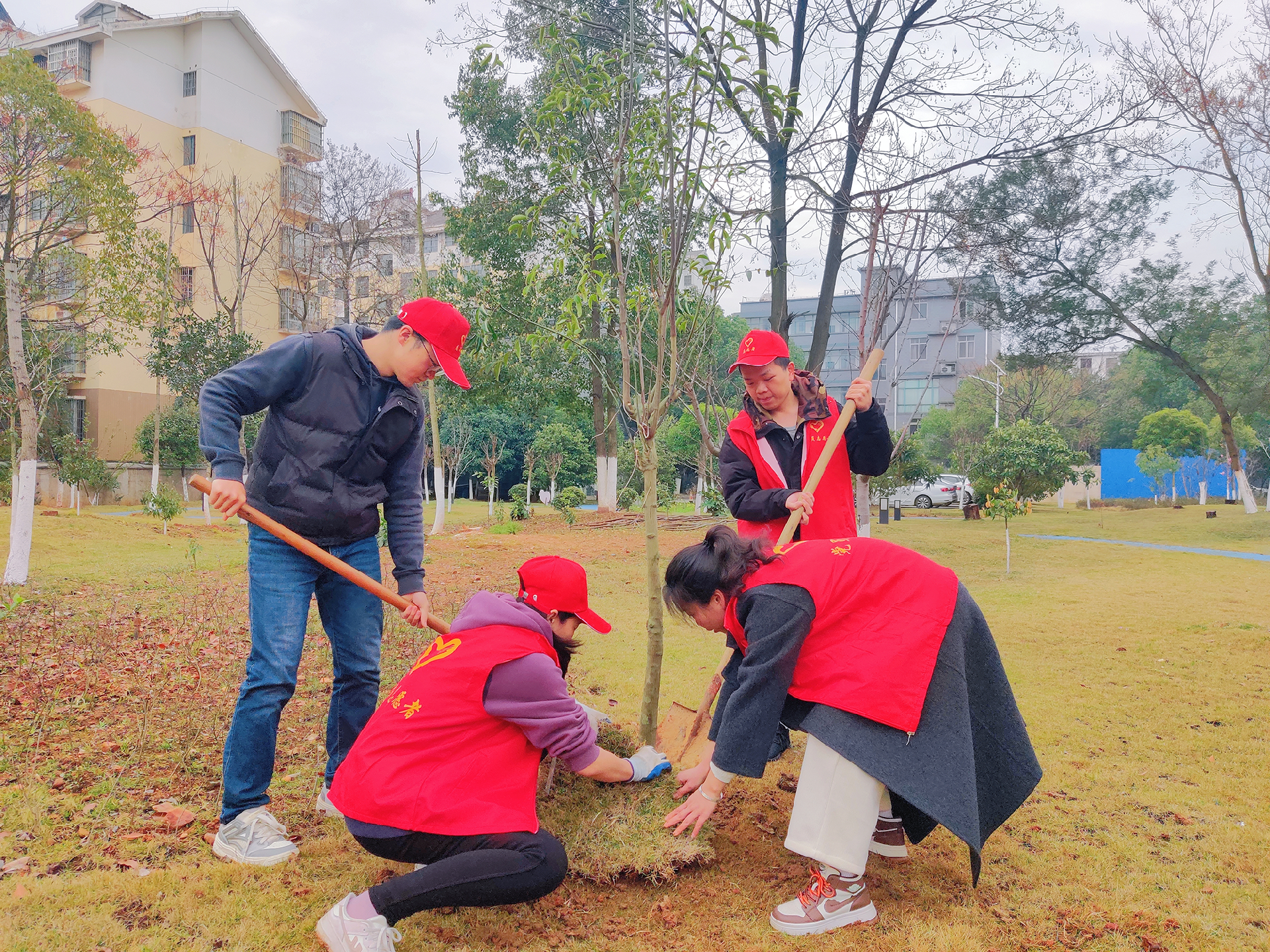 1710383510685392.png 圖片5.png